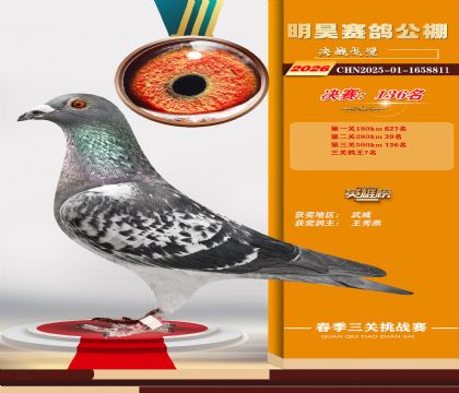 ��껾���136��