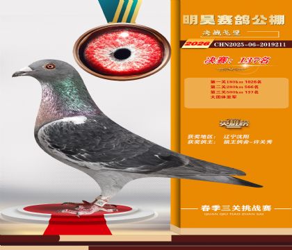 ��껾���137��