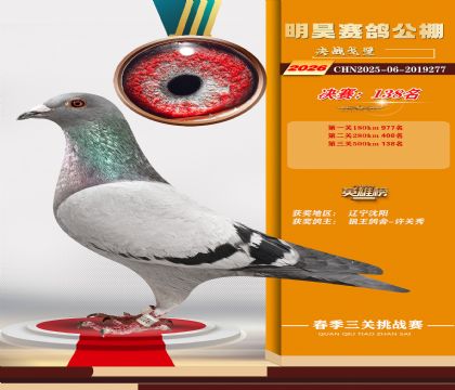 ��껾���138��