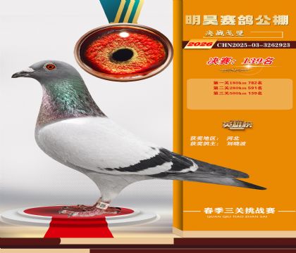 ��껾���139��