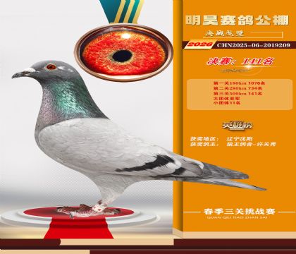 ��껾���141��