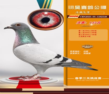 ��껾���145��