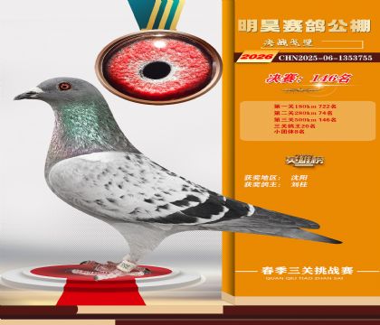 ��껾���146��