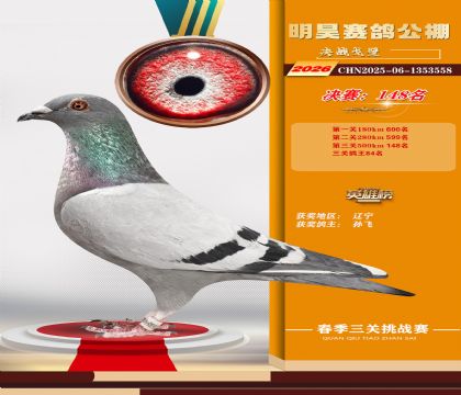 ��껾���148��