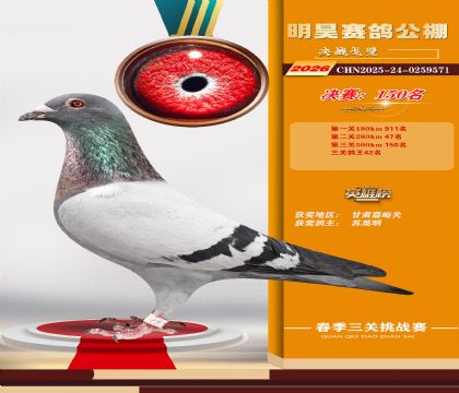 ��껾���150��