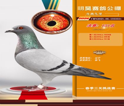 ��껾���151��