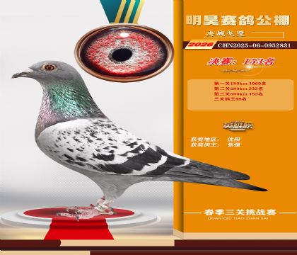 ��껾���153��