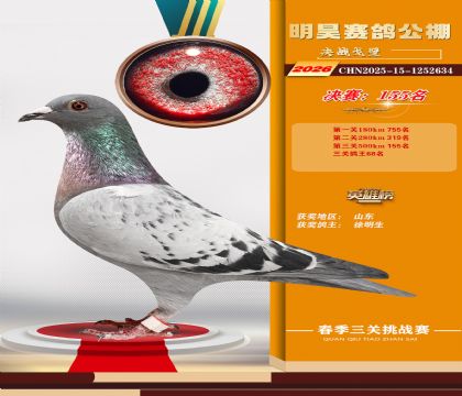 ��껾���155��