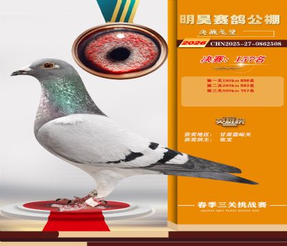 ��껾���157��