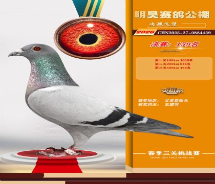 ��껾���159��