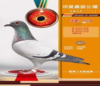 ��껾���161��