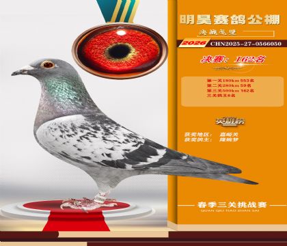 ��껾���162��