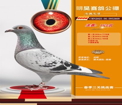��껾���164��