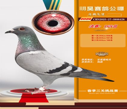 ��껾���168��
