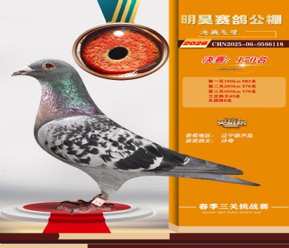 ��껾���170��