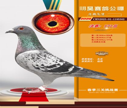 ��껾���171��