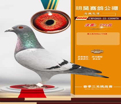 ��껾���174��