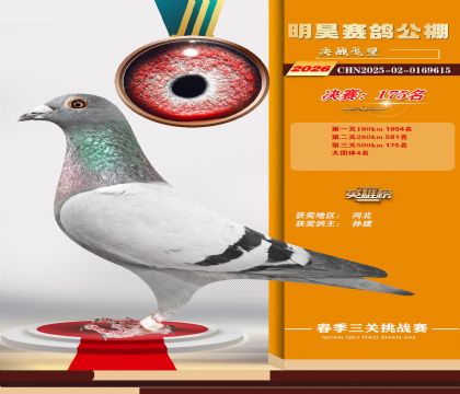 ��껾���175��