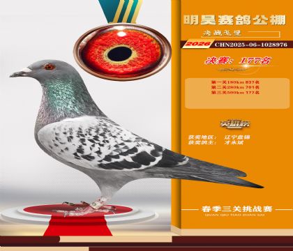 ��껾���177��