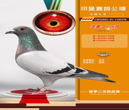 ��껾���178��