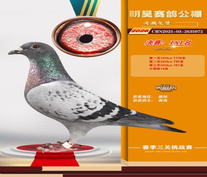 ��껾���181��