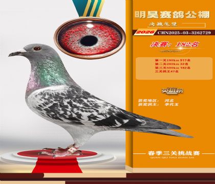 ��껾���182��