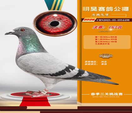 ��껾���183��