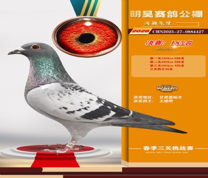 ��껾���185��