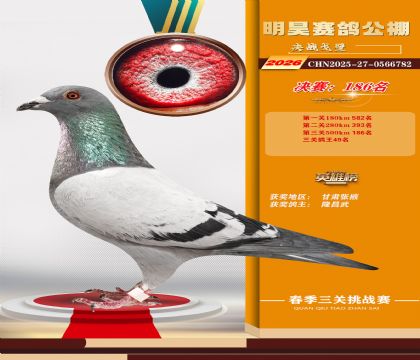 ��껾���186��
