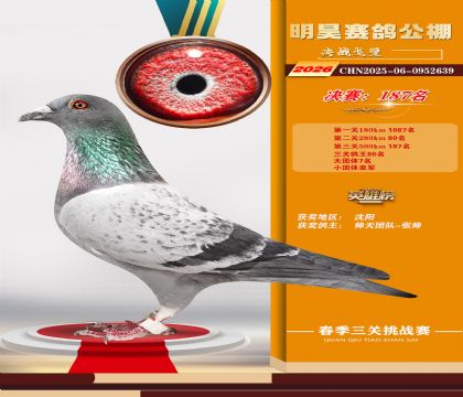 ��껾���187��