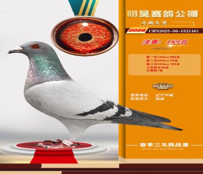 ��껾���189��