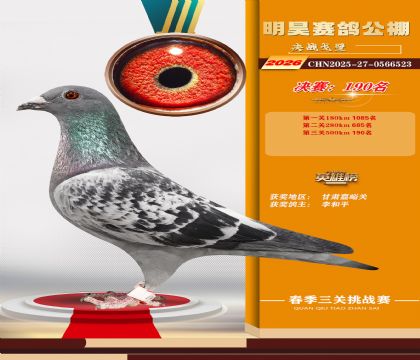 ��껾���190��