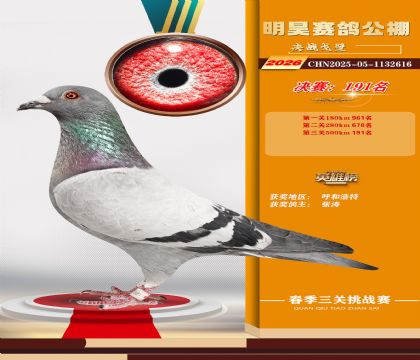 ��껾���191��