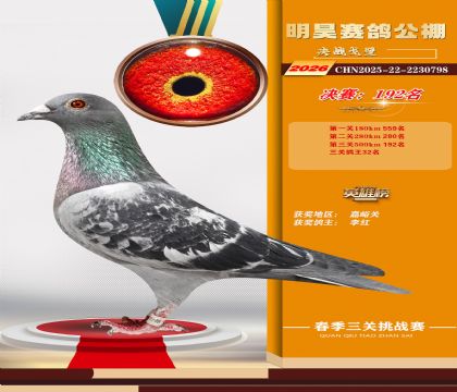��껾���192��