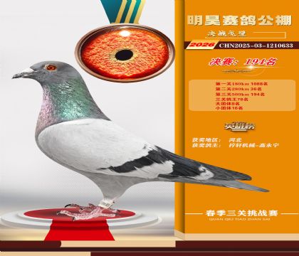 ��껾���194��
