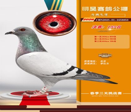 ��껾���195��