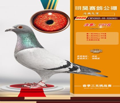 ��껾���197��