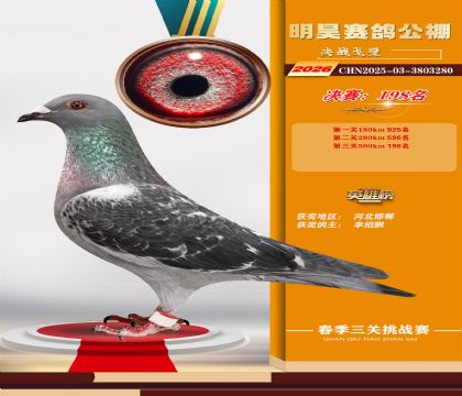��껾���198��