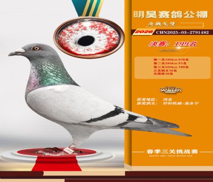 ��껾���199��