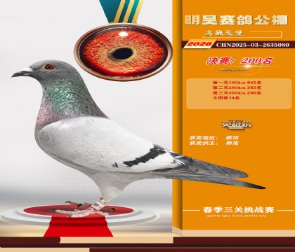��껾���200��