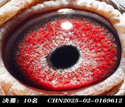 ���10-