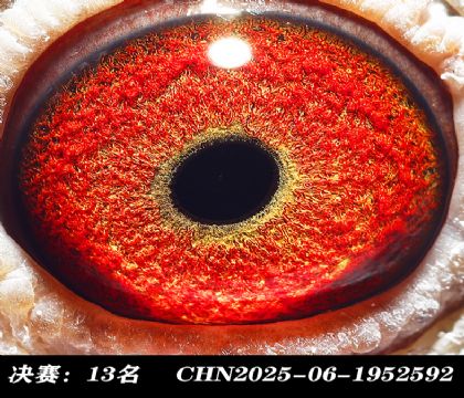 ���13-