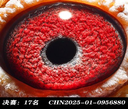 ���17-