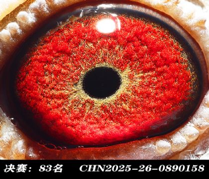 ���83-