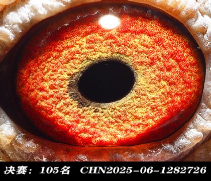 ���105-