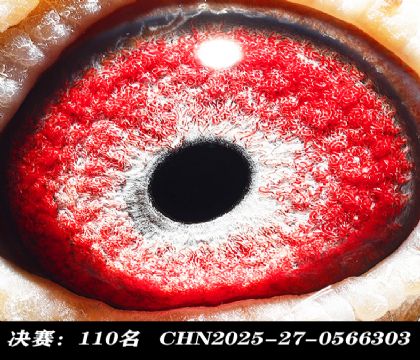 ���110-
