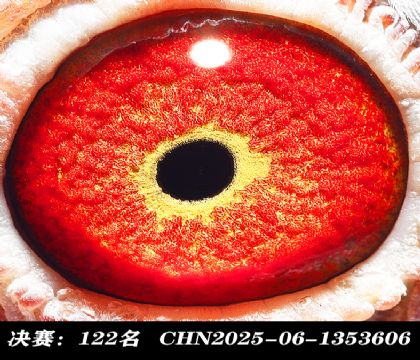 ���122-
