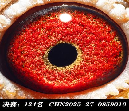 ���124-