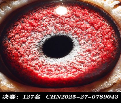 ���127-