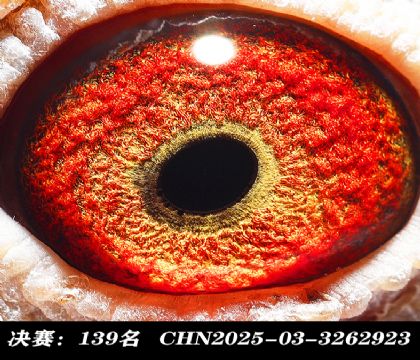 ���139-